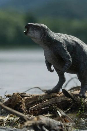 8. epizoda