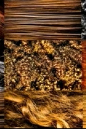 Salon of Beauty and Scar Printing