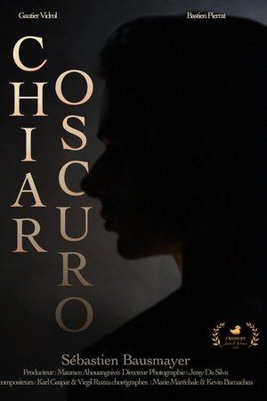 Chiaroscuro