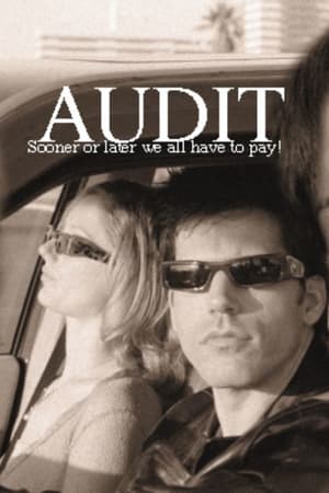 Audit