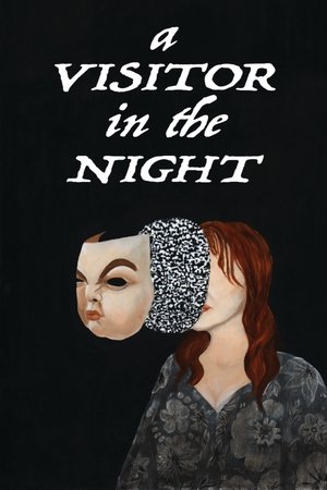 A Visitor in the Night