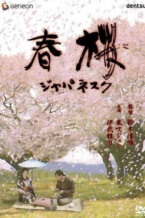 Cherry Blossoms in Spring