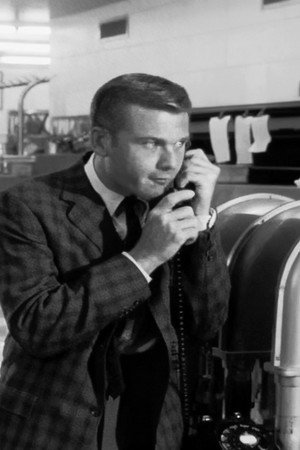 Lizard's Leg and Owlet's Wing