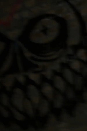 Community Guidelines