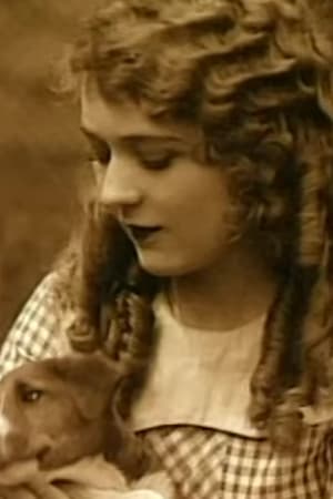 Mary Pickford: A Life on Film