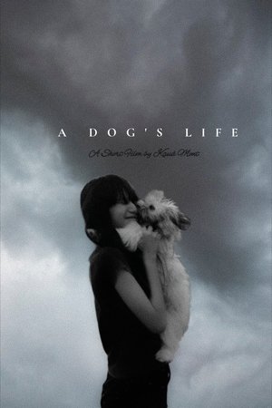 Vida de Cão