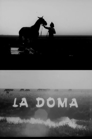 La doma