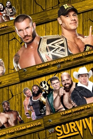 WWE Survivor Series 2013