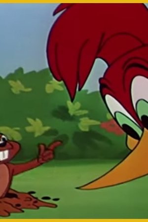 Wicket Wacky