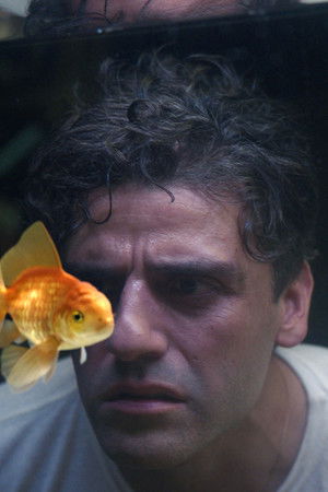 Problém s akvarijní rybkou