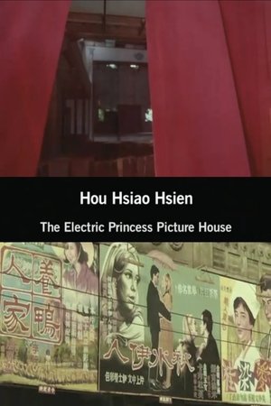 The Electric Princess Picture House