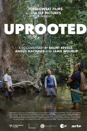 Uprooted - The Olympic Tribe