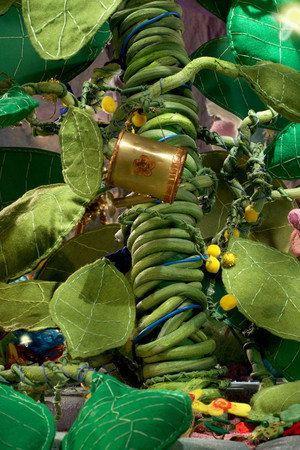 The Giant Plant