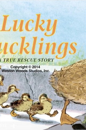 Lucky Ducklings