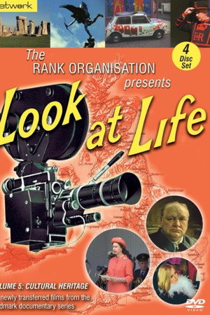 Look at Life: A Dog's Life