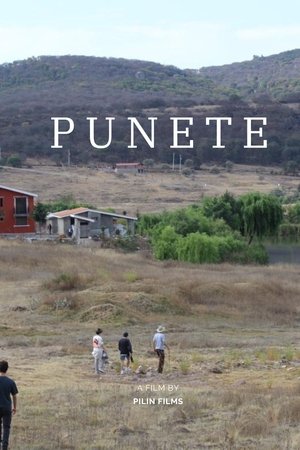 "PUNETE"