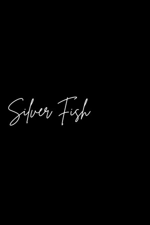 Silver Fish