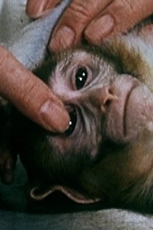 8. epizoda