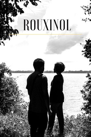 Rouxinol
