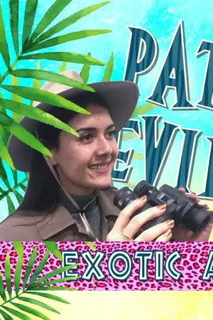 Patti Reviews Exotic Animals: African Barbary Falcon