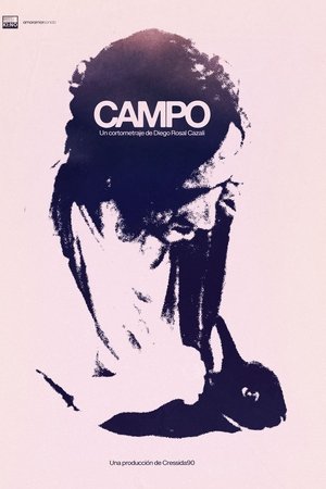 Campo
