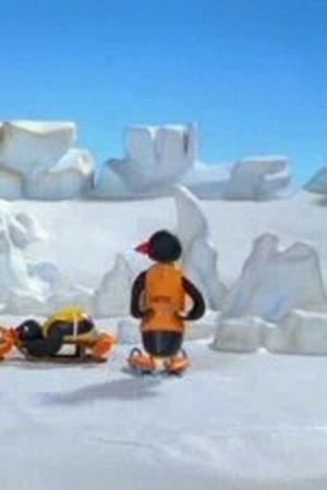 Pingu a zásady sáňkování