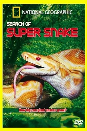 Search For the Supersnake