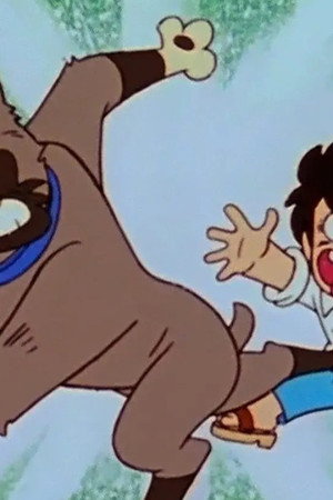 Spark of Love? Between Dog and Human