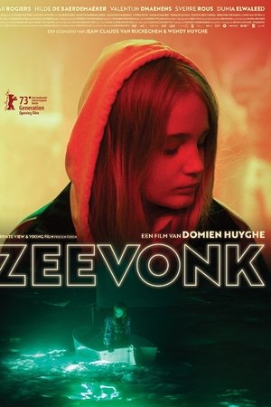 Mořské jiskry