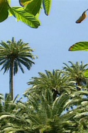 4. epizoda