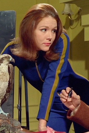 The Bird Who Knew Too Much
