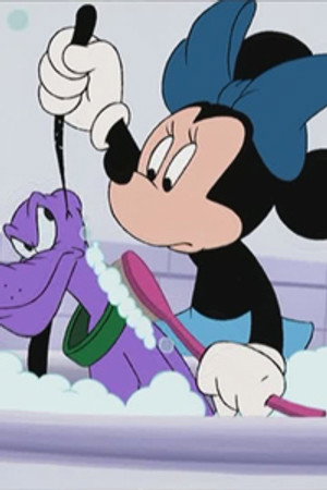Donald and the Aracuan Bird