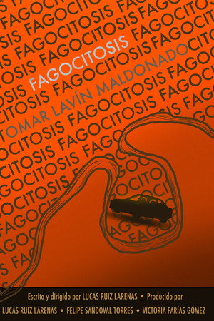 Fagocitosis