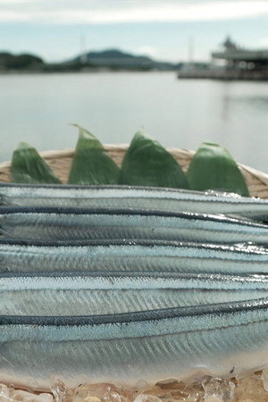 Sanma
