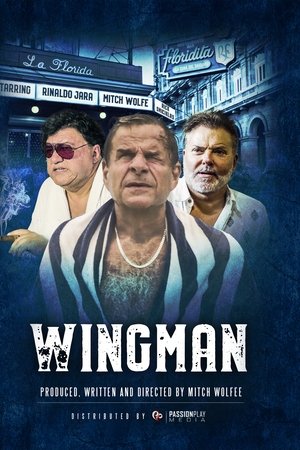 WingMan