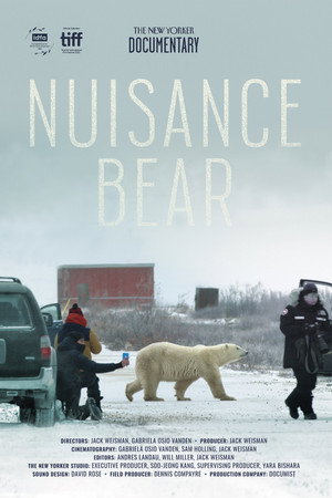 Nuisance Bear
