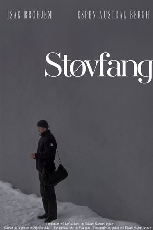 Støvfang