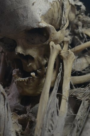 3. epizoda