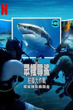 众里寻鲨：拍摄大作战