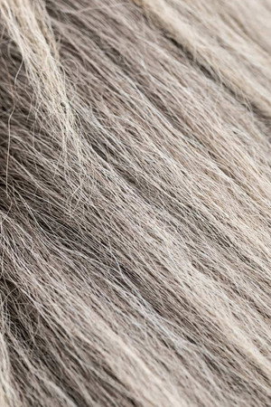 The Tesla, Horsehair Fabrics, Pool Cleaners