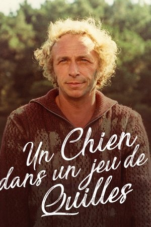 Un chien dans un jeu de quilles