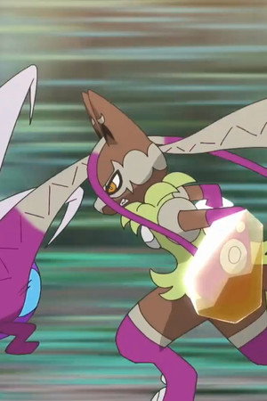 The Ultimate Showdown! Mega Evolution!!