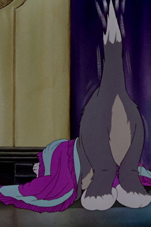 Fraidy Cat