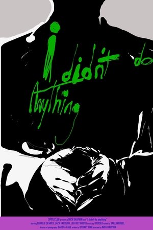 i didn't do anything