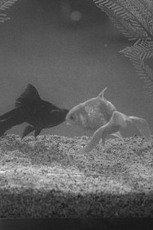 9. epizoda
