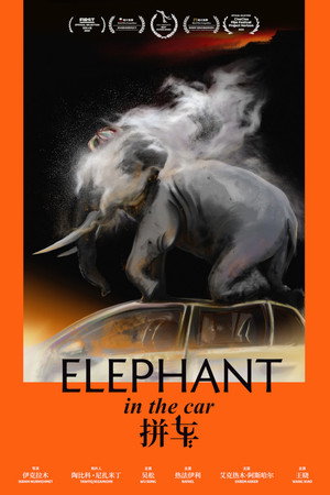 Elephant in the Car