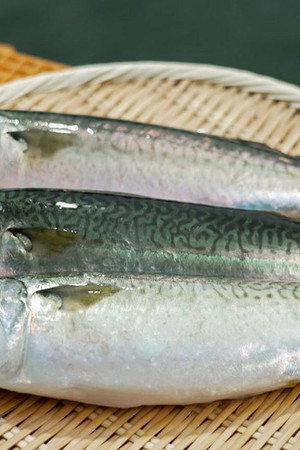 SABA