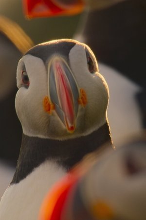 Atlantský oceán
