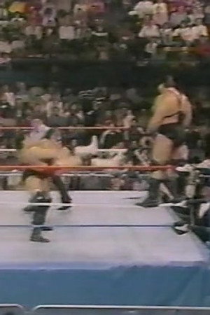 October 29, 1988 - Superstars of Wrestling 113
