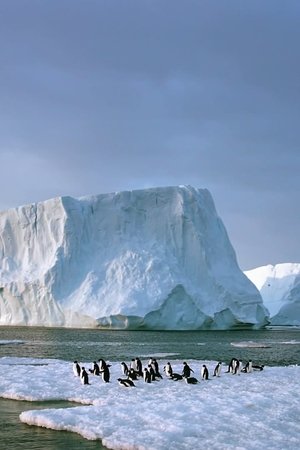 3. epizoda
